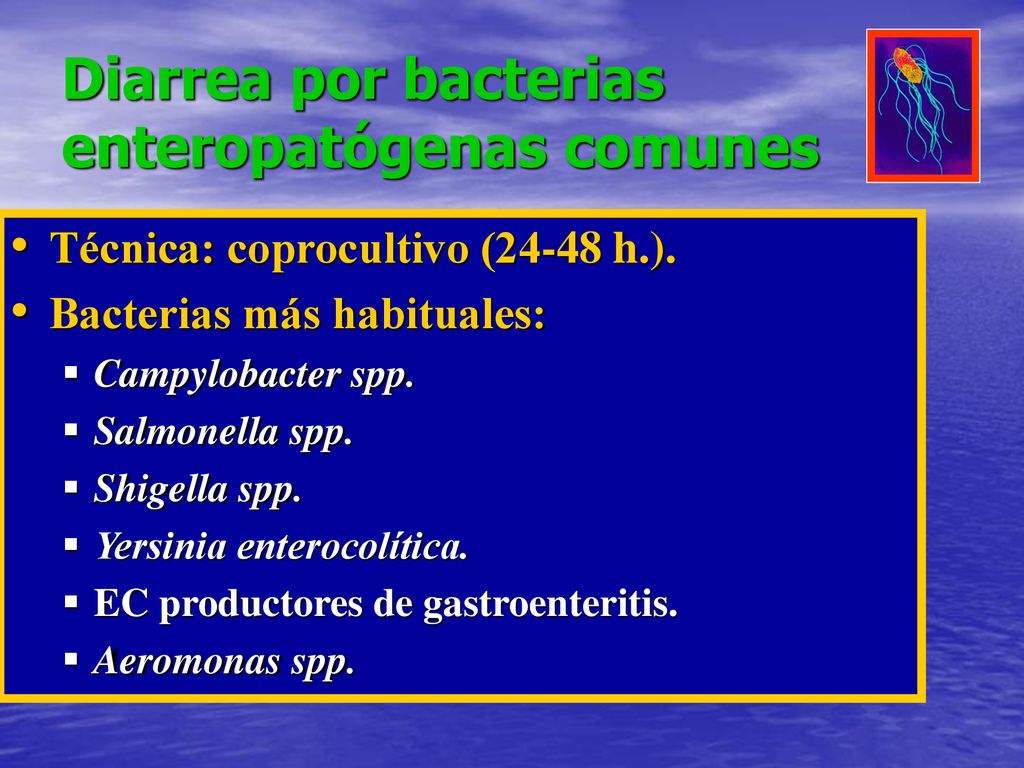 bacterias comunes en coprocultivo bacterias comunes en coprocultivo